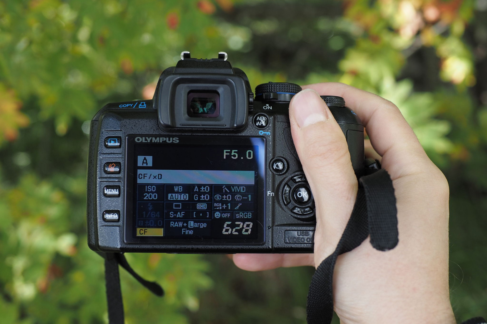 Olympus E-450 — зеркалка‑малышка - 21
